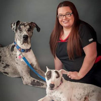 holly morris veterinary assistant