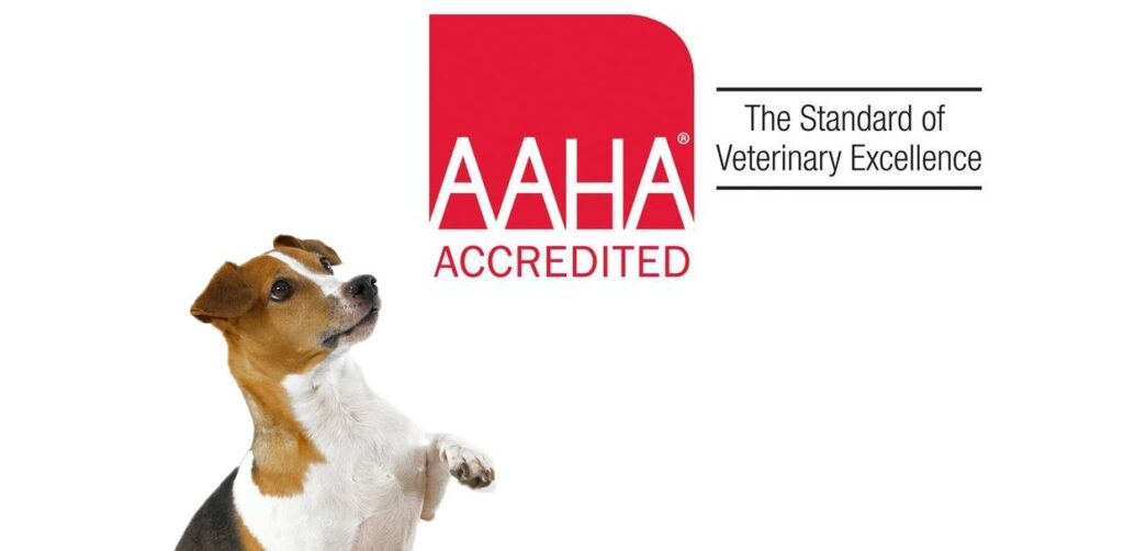 Aaha veterinary clinics near 2024 me