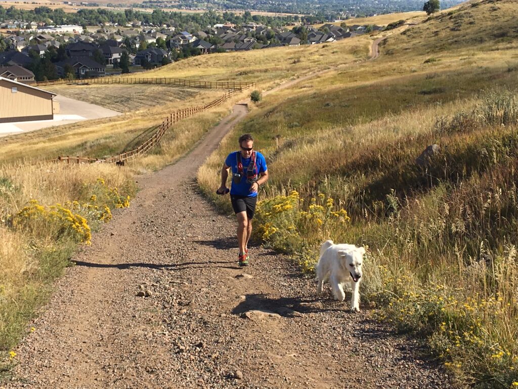 trail running with dogs in golden