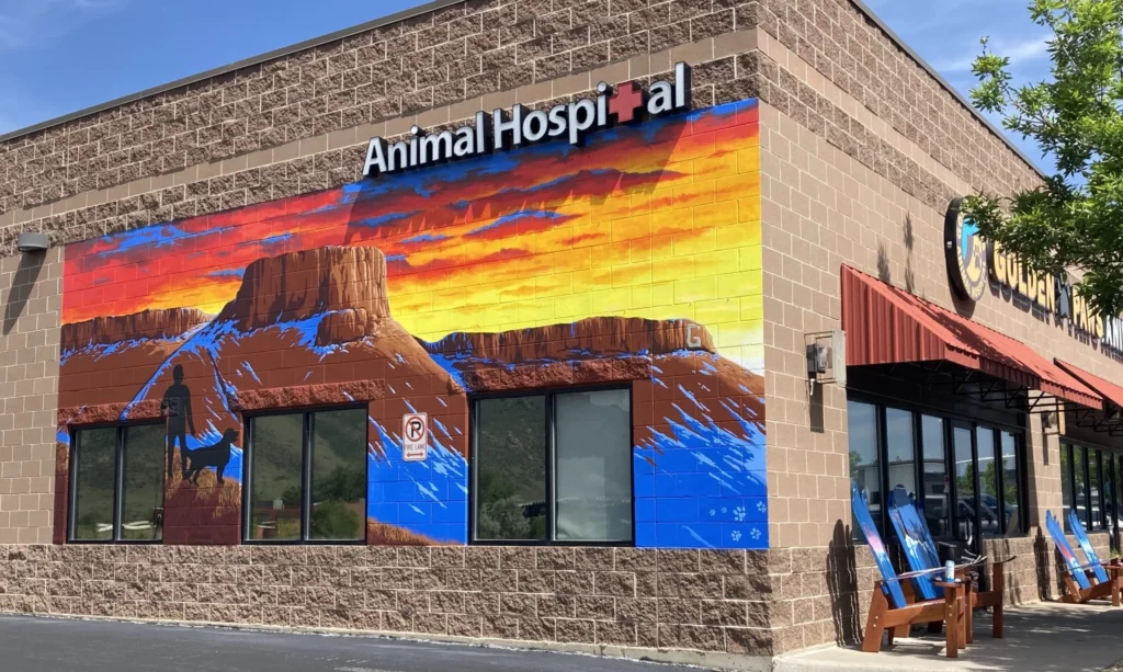 golden paws animal hospital veterinarian mural colorado cropped