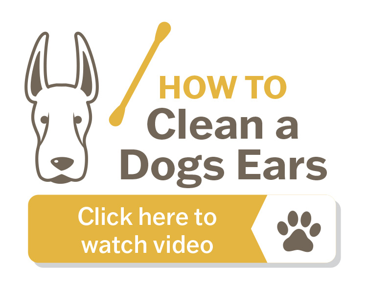 howto cleanears