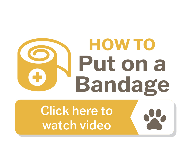 howto bandage