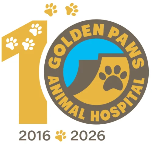 10 year anniversary local veterinarian 